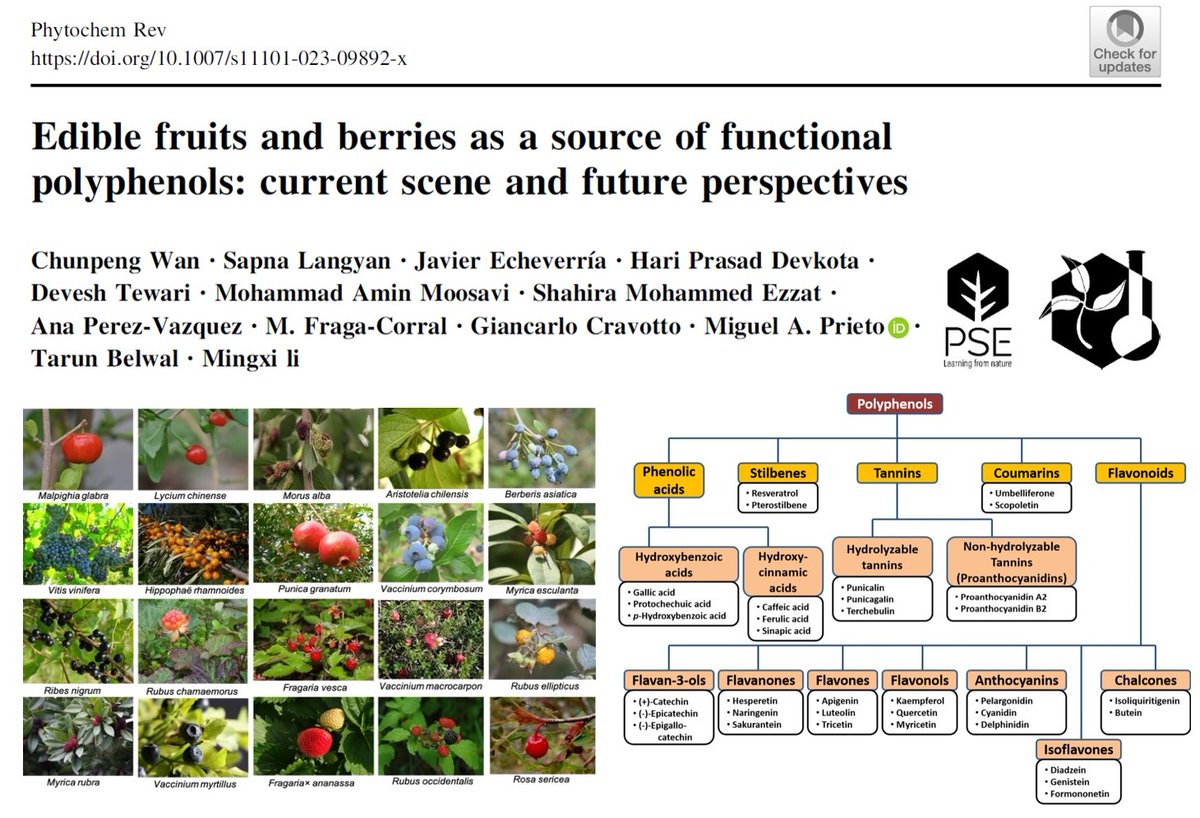 Edible fruits and berries as a source of functional polyphenols: current scene and future Perspectives
link.springer.com/article/10.100…
#INPST #NPMND #fruits #phenolics #wildfruits