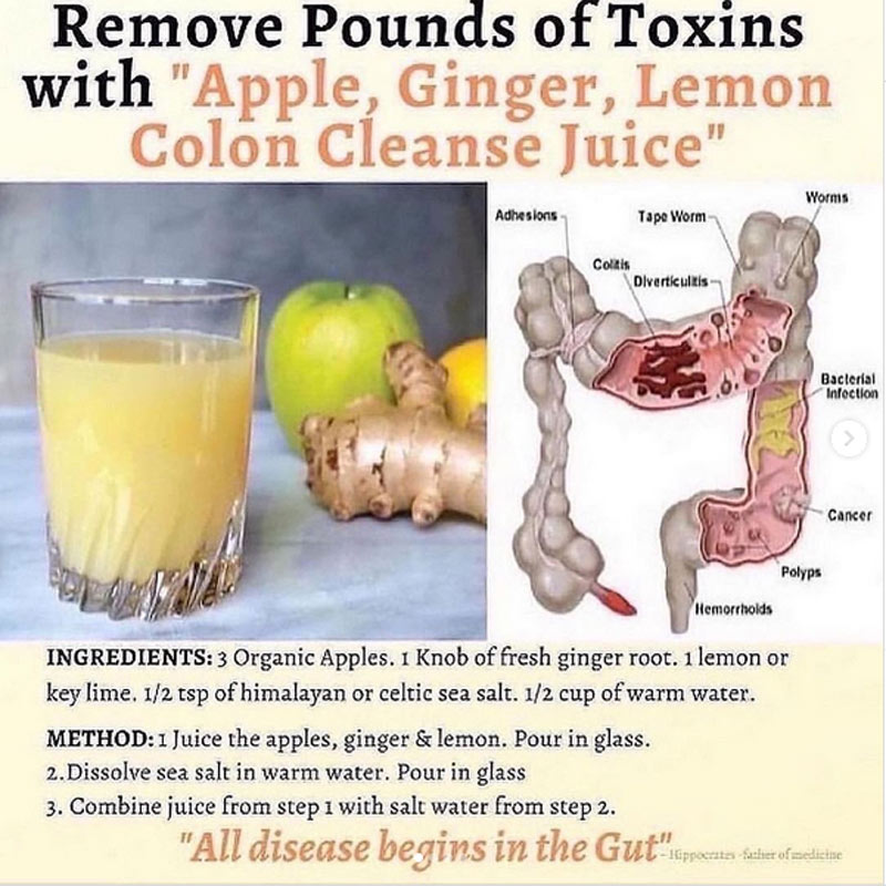 OrganicLiveFood's tweet photo. All Diseases Start in the GUT! A  healthy gut is essential in absorption of nutrients  &amp; supporting   immune system. Eat nutrient dense superfoods packed with fiber and antioxidants in order to improve your health  https://t.co/YuoS0esSvq