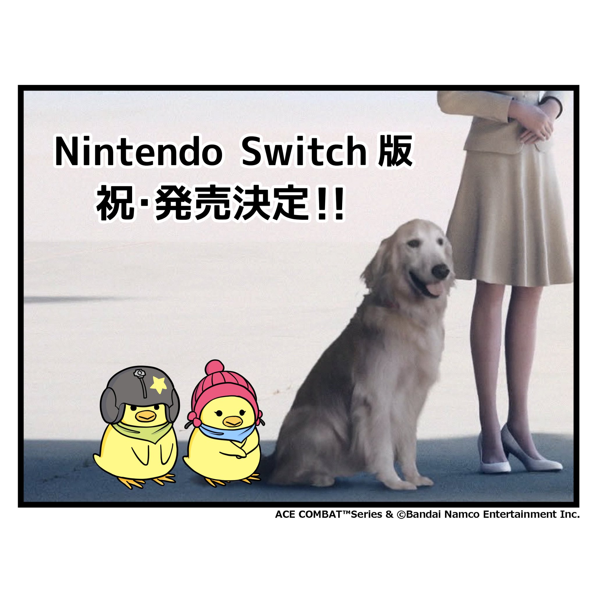 Nintendo Switch - パピヨン エースコンバット公式 on X: 