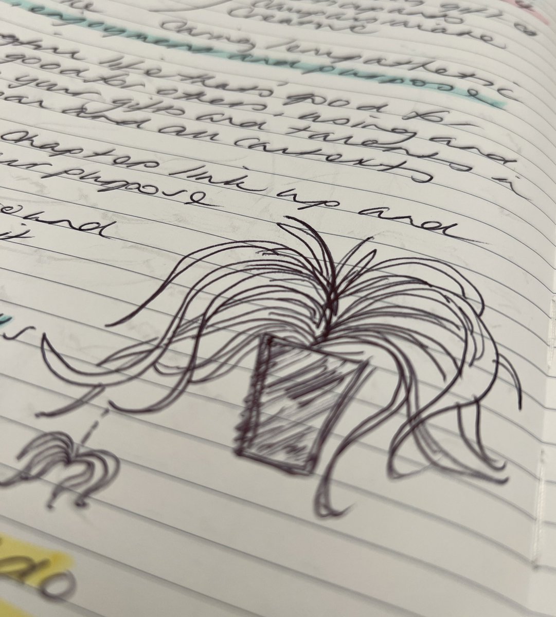 STEcopywriting's tweet image. Do you doodle? ✏️ 

I always draw spider plants, for some unknown reason 😃 

#AskTwitter