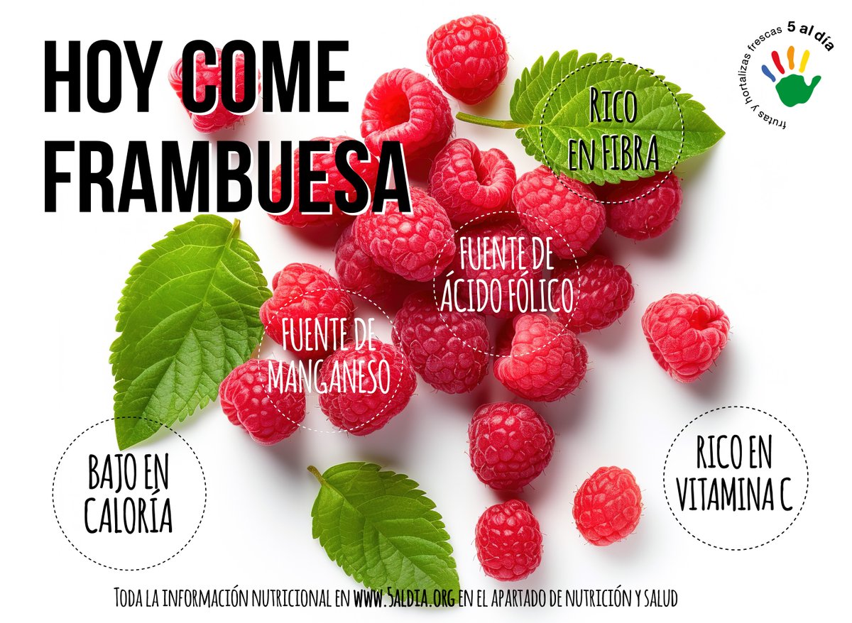 Las #frambuesas son el snack perfecto para el almuerzo o la merienda ¿conoces todos sus beneficios nutricionales?

Las podemos tomar en postres, mermeladas o smoothies ¿Cuál es tu forma creativa de incorporarlas en tus recetas?

#FrutasSiempre #1delas5dehoy #Almenos5aldía