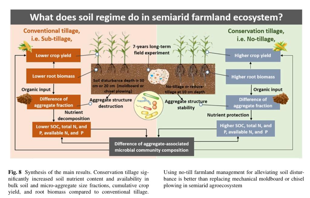 What does soil regime do in semi-arid farmland ecosystem? See our collaborative paper with China West Normal University, Qinghai University, Gansu Provincial Institute of Agricultural Engineering and Technology, and @IOA_UWA @UWAresearch link.springer.com/content/pdf/10…