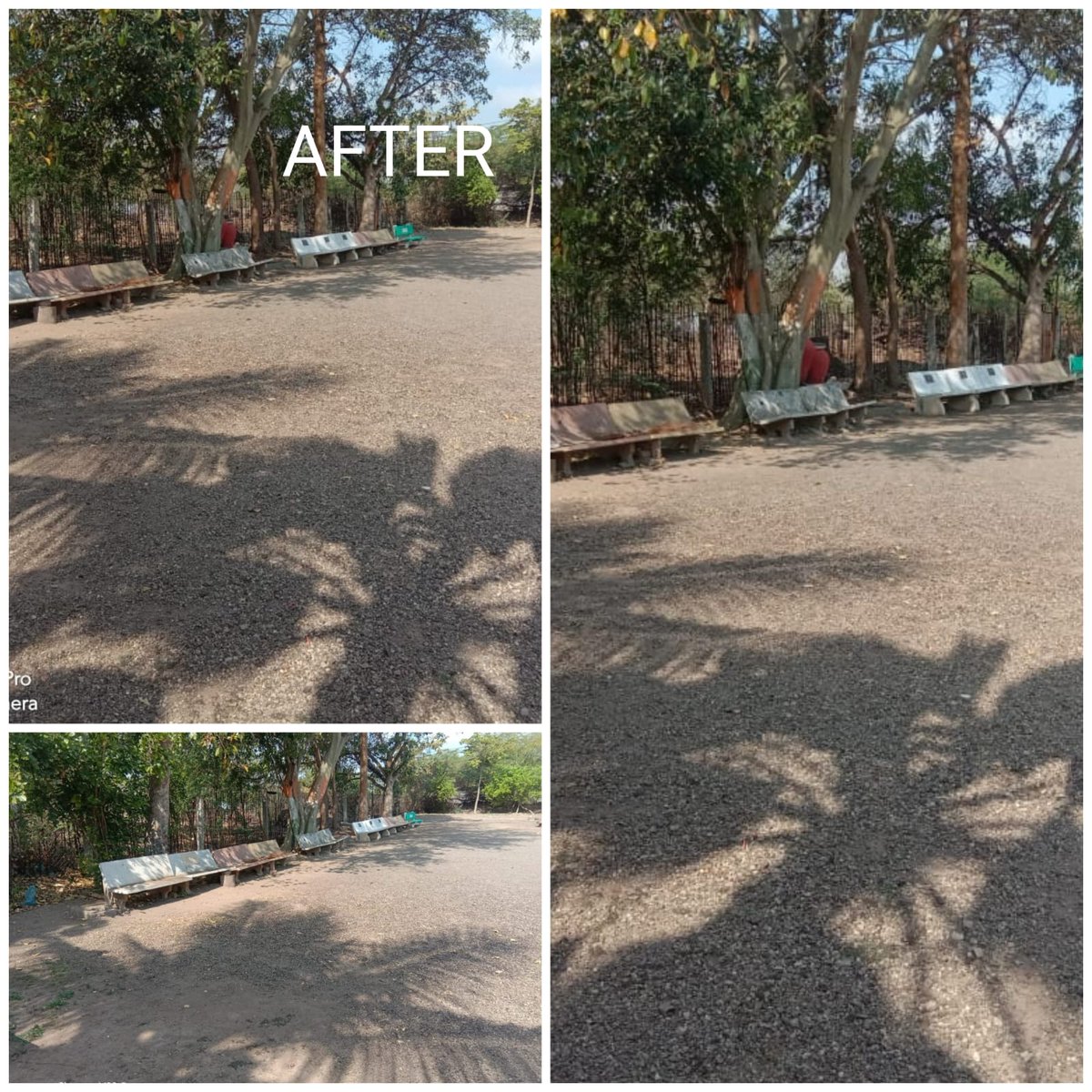 આજરોજ ટાટમ ગામે સેવાસેતુ કાર્યક્રમ નિમિત્તે તલાટી કમ મંત્રી મંડળ - ગઢડા તાલુકા દ્વારા ધાર્મિક સ્થળોની સફાઈ કામગીરી હાથ ધરવામાં આવી.
<a href="/DDOBOTAD/">District Panchayat office Botad</a>