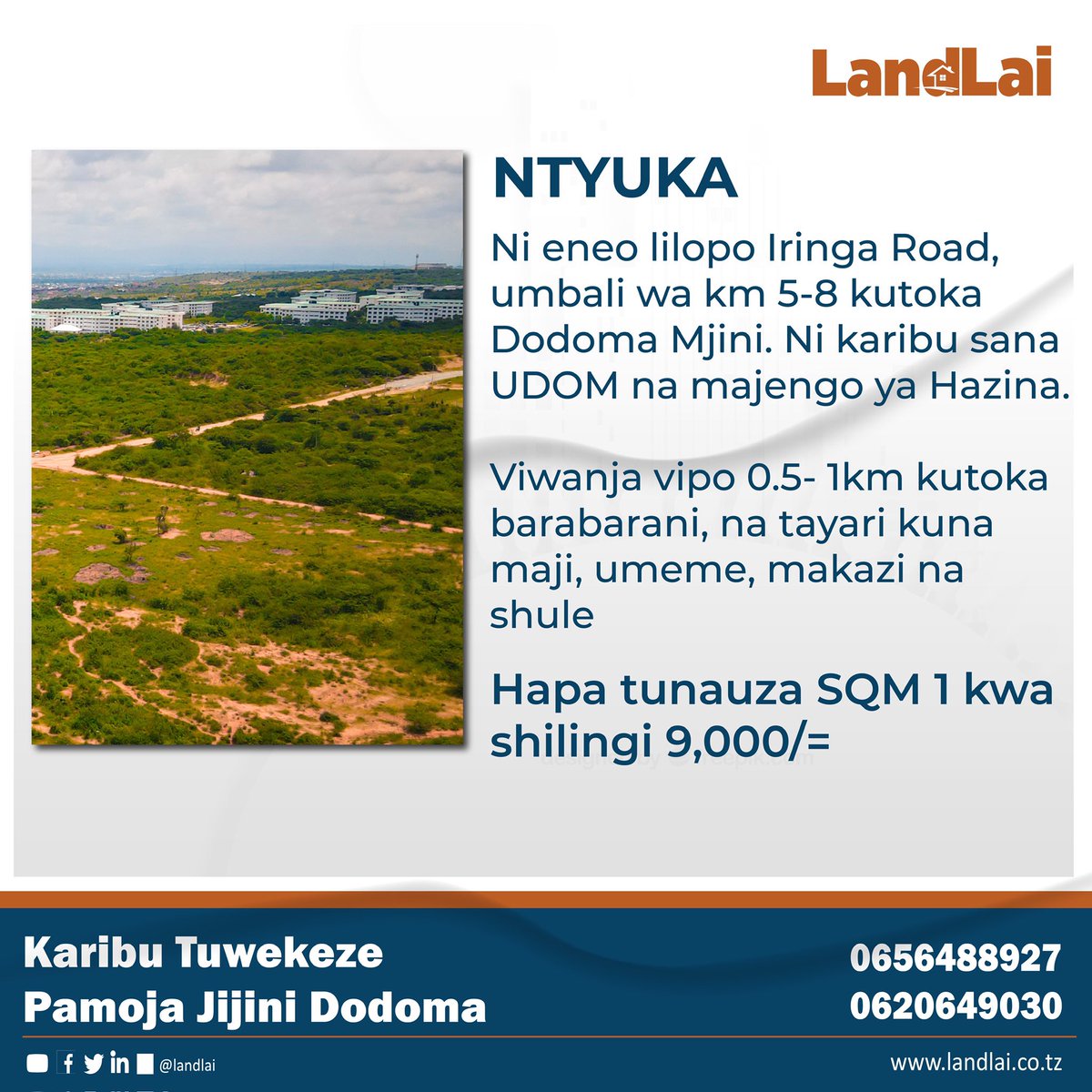 LandLai investment tweet media