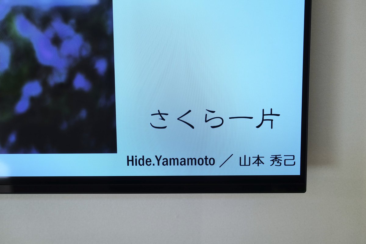 Rider_Hide's tweet photo. 心斎橋から高槻へ移動して今日から始まった『桜の作品展 さくら、一片』も拝見してきました。
ギャラリーの壁は一足早く春です(^^;
こちらもプリント展示作品とデジフォトのひとつをタイトル先行公開しておこう(^^;
#写真展
#桜の作品展
#たかつきgalleryr
#troom https://t.co/jFuLfkfqFw
