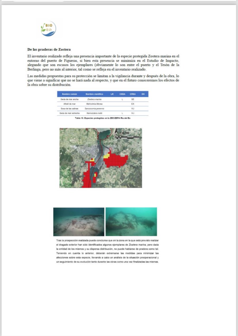 BioEo2023's tweet photo. Aquí os dejamos un nuevo comunicado con unas Reflexiones sobre el proyecto de reforma en el Puerto de Figueras del Geólogo D. Iván R Lombardero.

#MuroNoFiguerasSi https://t.co/I0rMshI0g9