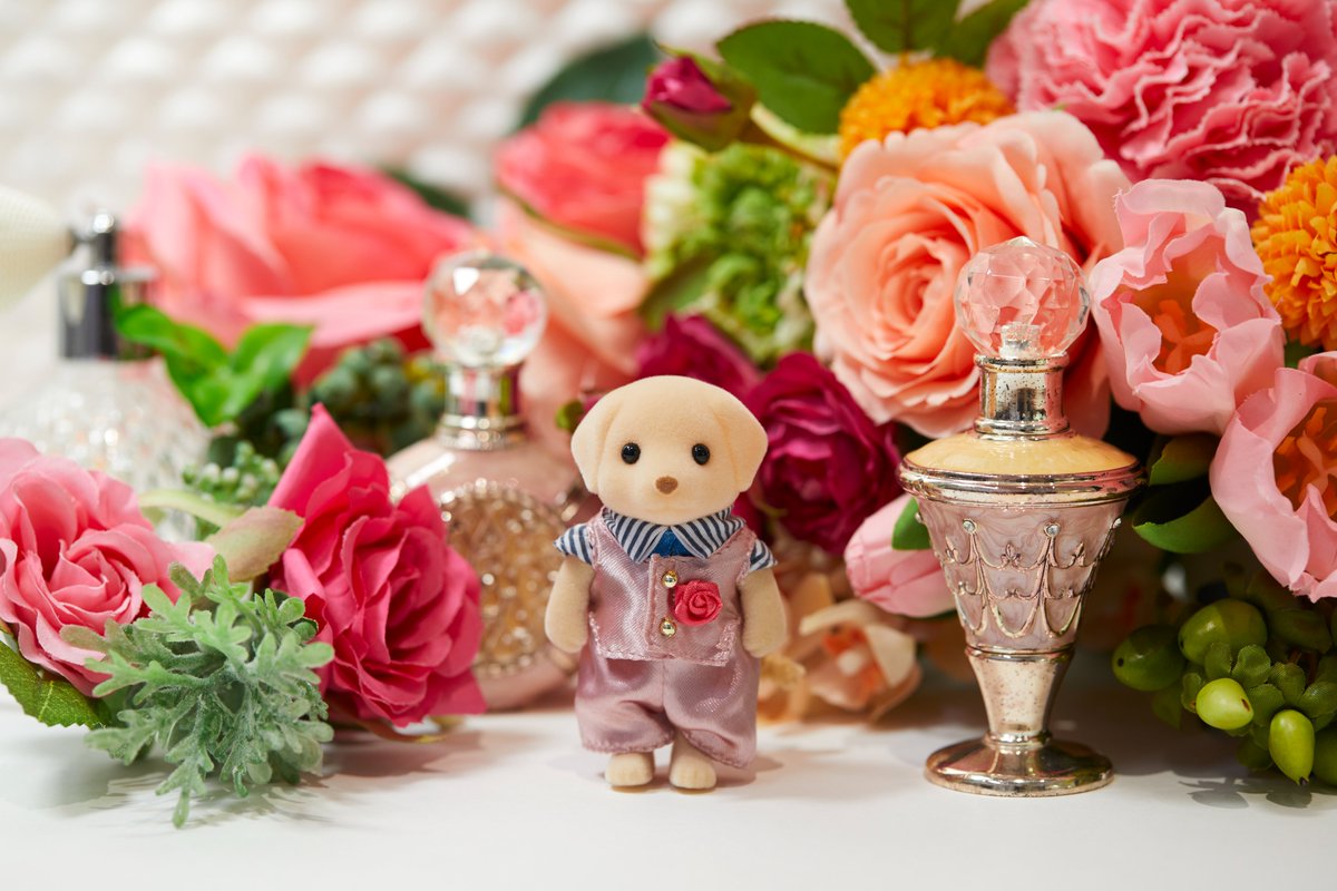 今日はラブラドールのお兄さん リアムをご紹介します。 リアムは調香師