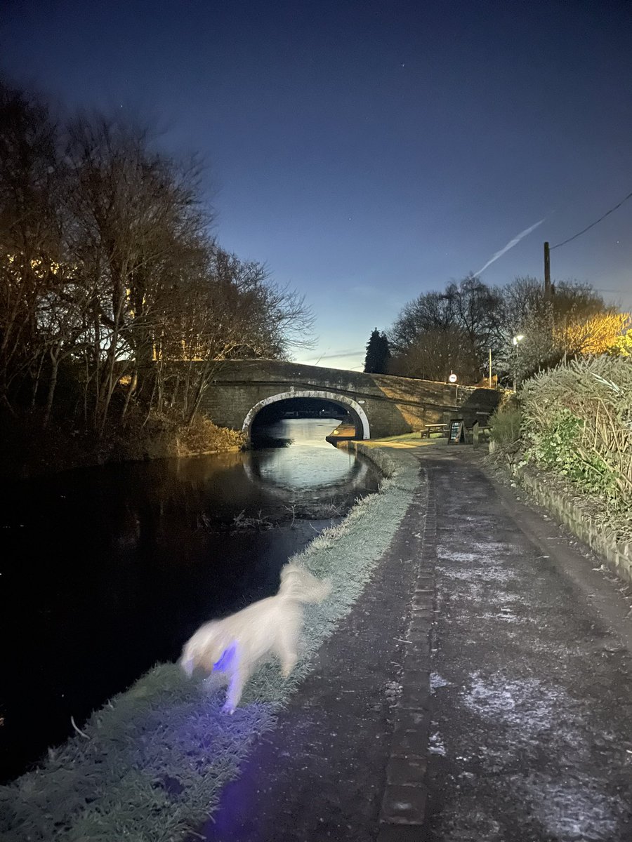 A cold and slippery but very beautiful run this morning  ❄️🥶🏃‍♀️