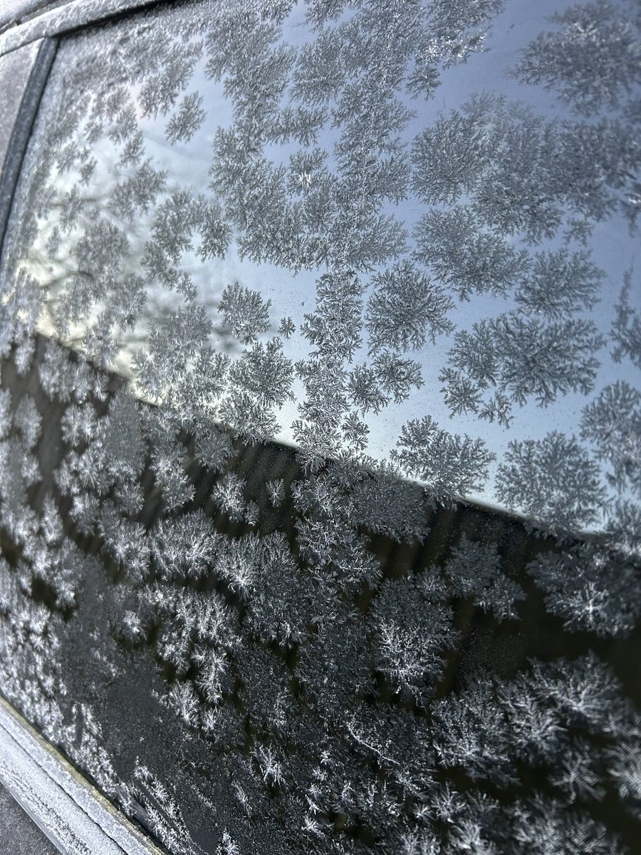 Beautiful frost this morning ❄️ In the depth of winter, I finally learned that there was in me an invincible summer. ~ Albert Camus #wednesdaythought #frost #photo #quotes