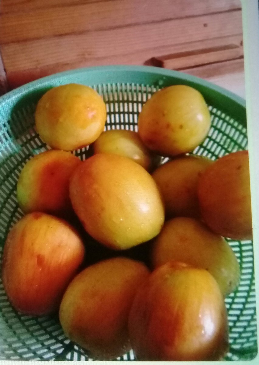 Fa64Ali's tweet image. كنار حجم كبير😍