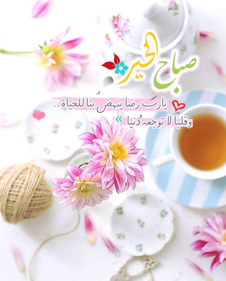 @EngAliIQ @N22_A3 @N22AJ @_0M01_ @__hms0 @eimi185 @qmr_raq @M62687551 @khalidali5262 @kam_ha1989 @alsalihynajat @NajeebThafree @Sarahhasan1995 @ALYemen87765 @juwadikimiyaho2 @Muradalmadani1 @Almalke118 @aboshthaa @mkk2920 @cyBGrp5RGJ42dcB @kandi202 #قروبات_البابلي_للاضافات 
#دعم_ali