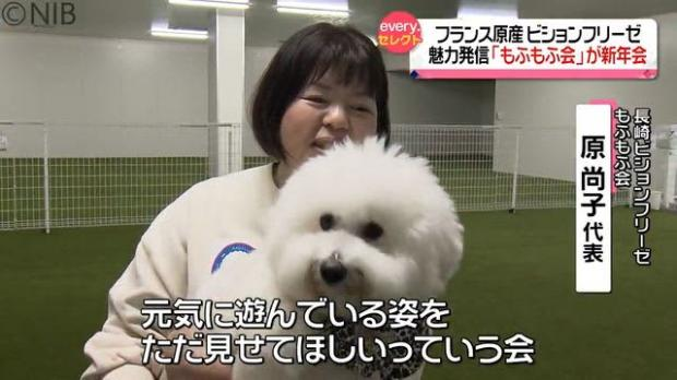 livedoornews's tweet photo. 【情報交換】フランス原産の小型犬ビジョンフリーゼの魅力発信「もふもふ会」が新年会 長崎
https://t.co/OyCCQQlZSf

長崎市を中心に活動している「長崎ビションフリーゼもふもふ会」。会長によると「本当にもふもふなので元気に遊んでいる姿をただ見せてほしいっていう会」だという。 https://t.co/XBSEqnSl57