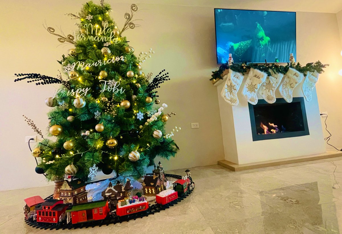 Mauricio_Gallo's tweet photo. #Christmas23 #Grinch #HomeSweetHome  @ma_feer1 a esperar otros 11 meses… 🤠👩🏻🐶🐶🐶🎄 https://t.co/c832NKXYMi