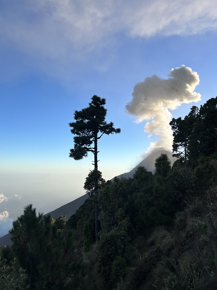 sandorM_'s tweet photo. No se imaginan lo espectaculares e increíble que es presenciarlo. ¡Una locura! 🤩 https://t.co/nDLRosrL1e