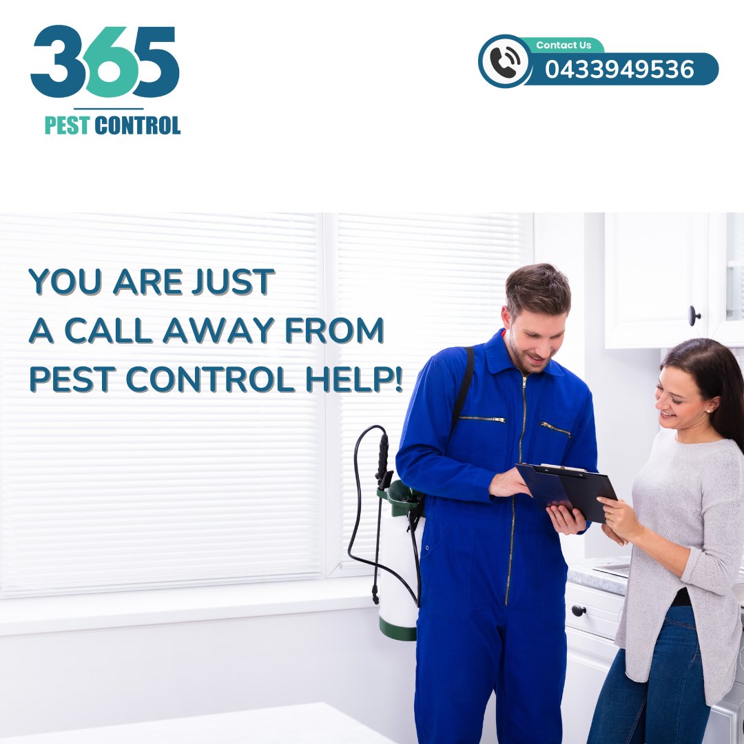 You are just a call away from Pest Control help?

call us today @ 0433949536

Visit us: 365pestcontrol.com.au

#pestcontrol #pestcontrolservice #pest #pointcookpestcontrol #pets #antpestcontrol #antcontrol #bugs #ant #termite #covid #rayap #exterminator #rats #fumigation