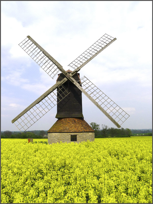 Misfit Mousepads (@misfitmousepads) on Twitter photo 