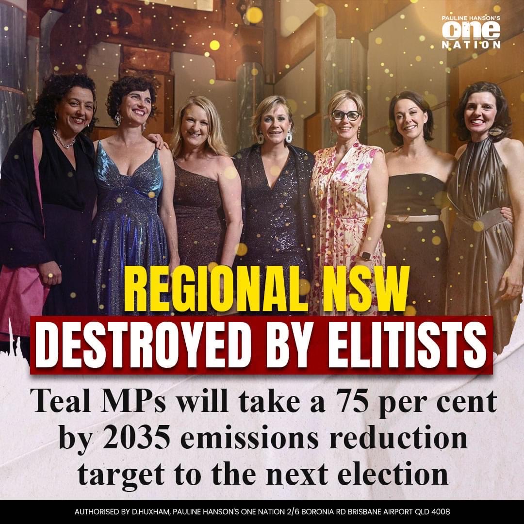 TaniaMihailukMP's tweet image. ‘NSW can’t afford this target - more elitism at the expense of regional communities #netzerofail