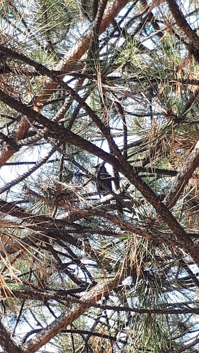 "Yıkalım demiyorum, örmüşsün o kadar ama pencere mi açsak bu duvarlara, hem kuşları görürsün, belki çiçek koyarsın önlerine. Ne bileyim."