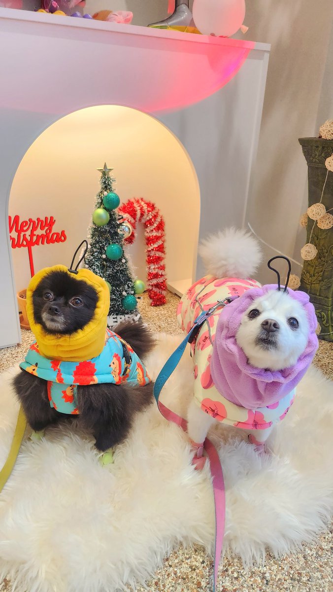 아 미쳤다 졸귀야