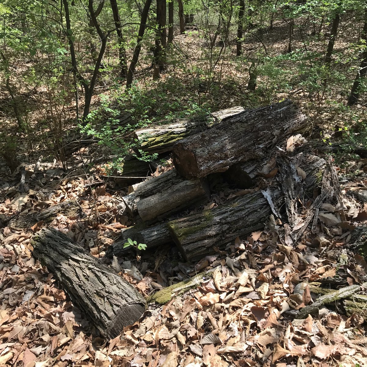 Max/MSP 드럼 머신 제작 레슨 진행합니다.
자세한 안내는 링크에.
instagram.com/p/C2MGNcYLZp6/…