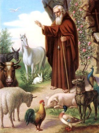 ProfEmilioMart1's tweet image. Feliz día con San Antonio, patrón de los animalillos