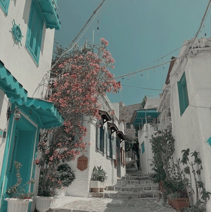 ㅤ

                  ᅠ  𝐌𝐈𝐍𝐈  ⭑  𝐒𝐐𝐔𝐀𝐃 

        ﹙ 𝗐𝖾𝗅𝖼𝗈𝗆𝖾 𝗍𝗈 𝐦𝐚𝐠𝐢𝐜𝐚𝐥 𝐩𝐚𝐫𝐚𝐝𝐢𝐬𝐞. ﹚
              ࣪     𐀶  𝖒𝖆𝖒𝖒𝖆 𝖒𝖎𝖆 𝖛𝖎𝖇𝖊𝖘. 

            info dm   ╱      ¿   𝙵𝙰𝚅  ﹢  𝚁𝚃   ?