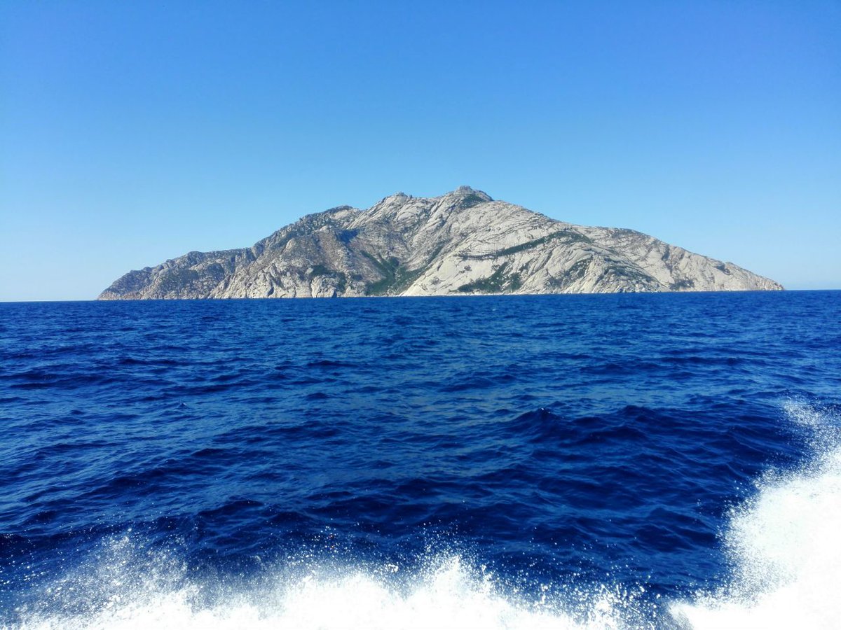 Call for Abstracts: “Island plant communities: natural experiments at the intersection of biogeography, conservation and global change ecology”, Special Issue in <a href="/JVegSci/">Journal of Vegetation Science</a>  vegsciblog.org/2024/01/16/spe… <a href="/IAVS5/">IAVS</a>