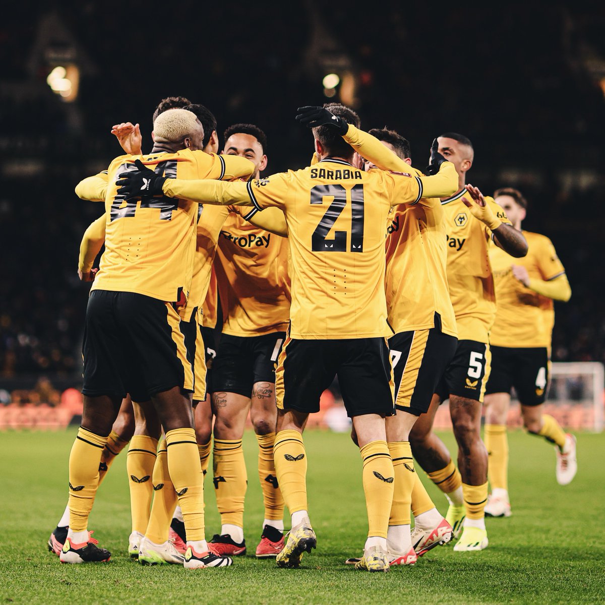 Wolves's tweet photo. Good morning 😍

How are we feeling today? https://t.co/SmjKmCiJWT