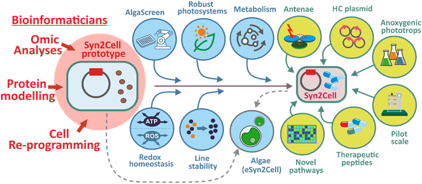AlgatechTrebon's tweet image. Are you a forward-thinking scientist ready to revolutionize the field of photosynthesis and in-production cells? Join our cutting-edge 5-year project starting 1. 1. 2024. More at alga.cz/c-669-volna-mi…