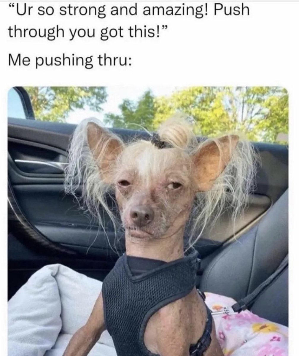 Lesley_kr's tweet photo. Good morning darlings 😘
Another day in the hell hole 😫
#hatework
#hatetheA13 https://t.co/vMtanZK7b2