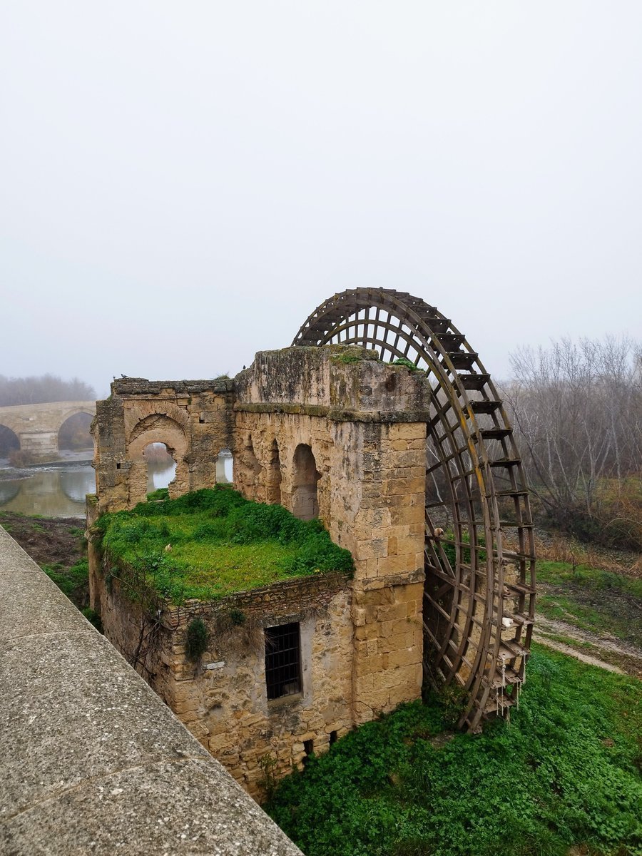 #Woodensday
Medieval waterwheel in Cordoba.
It's hard to see, but it's home to a lot of stray cats.