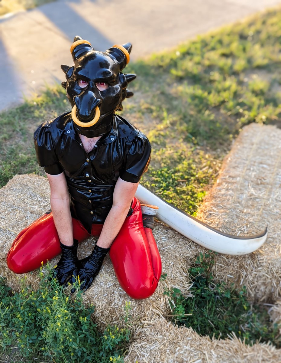 Happy Appreciate a Dragon Day! Rubber dragon soaking up some sun~🐲
