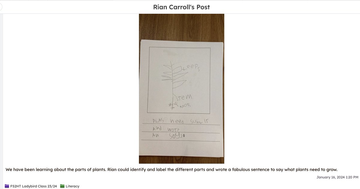 Amy Carroll tweet media