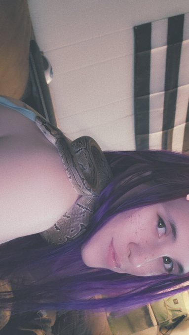 Boop noodle ❤️ https://t.co/9WcUMpW20I<a href="/tag/dreamlightvalley"class="tags"><span>#dreamlightvalley</span></a><a href="/tag/ddv"class="tags"><span>#ddv</span></a>