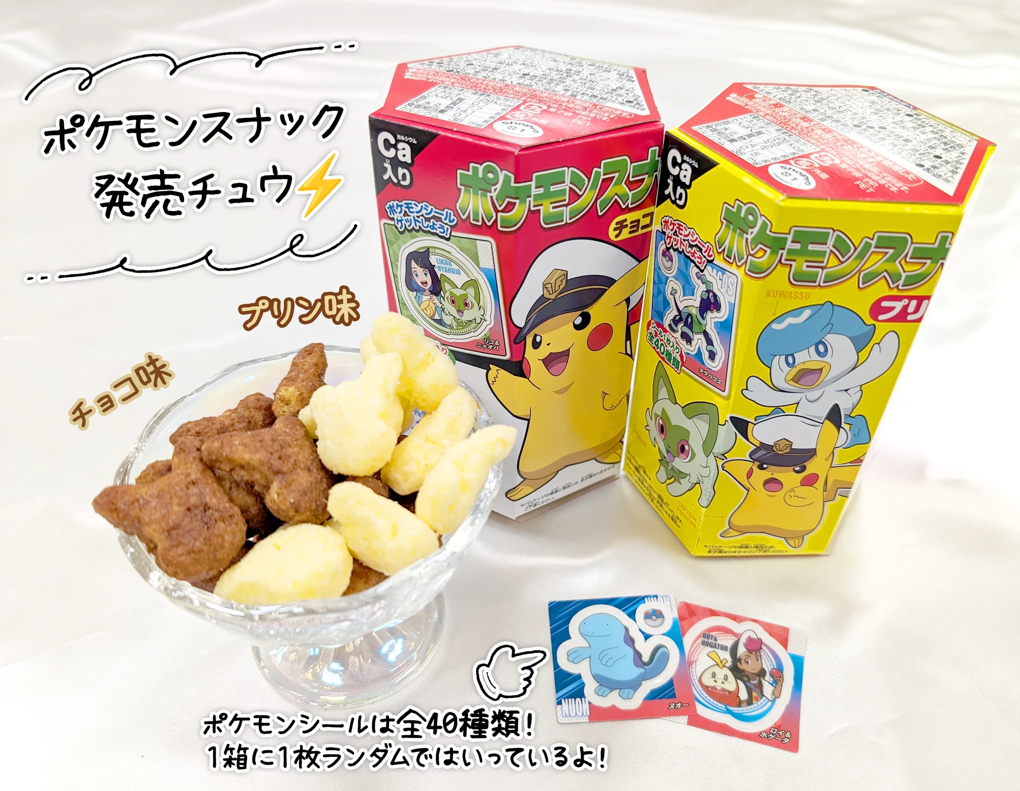 ポケモンだいすきクラブ編集部【公式】 on X: 