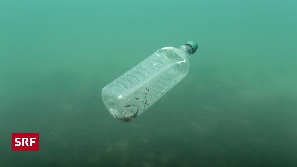 Die Suche nach Mikroplastik im Pazifik - ein Projekt von #Schweizforscht. 
bit.ly/3Slt72n 
Diese Woche hat das #EchoderZeit über das Projekt berichtet. 

#CitizenScience @srf @srfnews

bit.ly/3U0dQFa