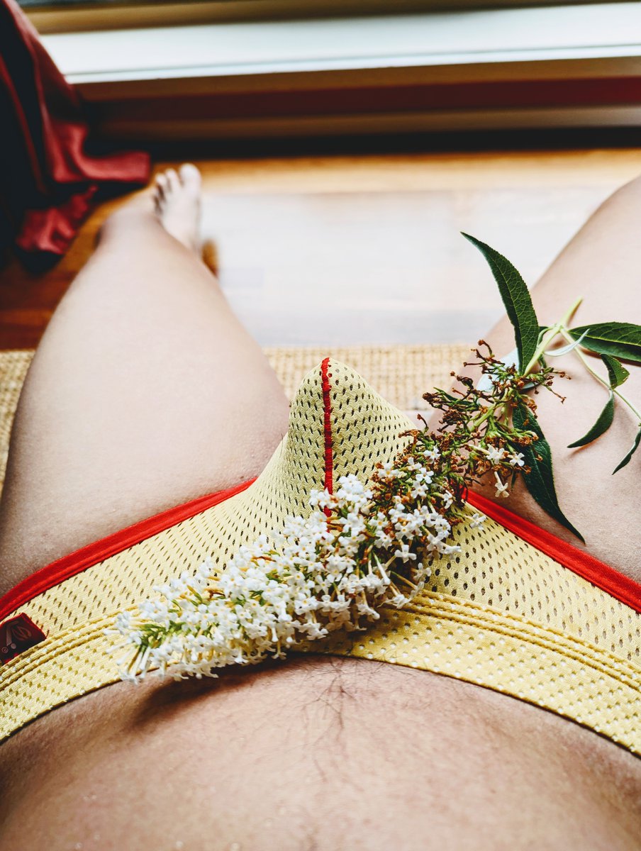 Madbplants's tweet photo. Buddleja davidii is widely used as an ornamental plant, and many named varieties are in cultivation. The genus was named Buddleja after Reverend Adam Buddle, an English botanist. #gaycanberra #asiantop #gaytop #gayasian #gaycbr #softcock #gay #botanical #maleunderwear https://t.co/Wzm3umPTlg