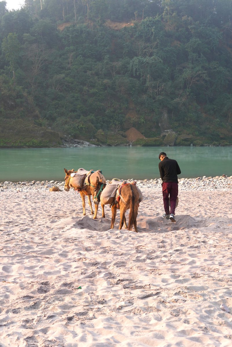 hareramayoga's tweet photo. Discover tranquility in #Rishikesh with our 4 and 6-day yoga retreats. Immerse in daily practice, serene surroundings, and rejuvenation. Elevate your well-being. Reserve your #retreat now! https://t.co/uIrp0FD9LW https://t.co/sWi1h6xn8L