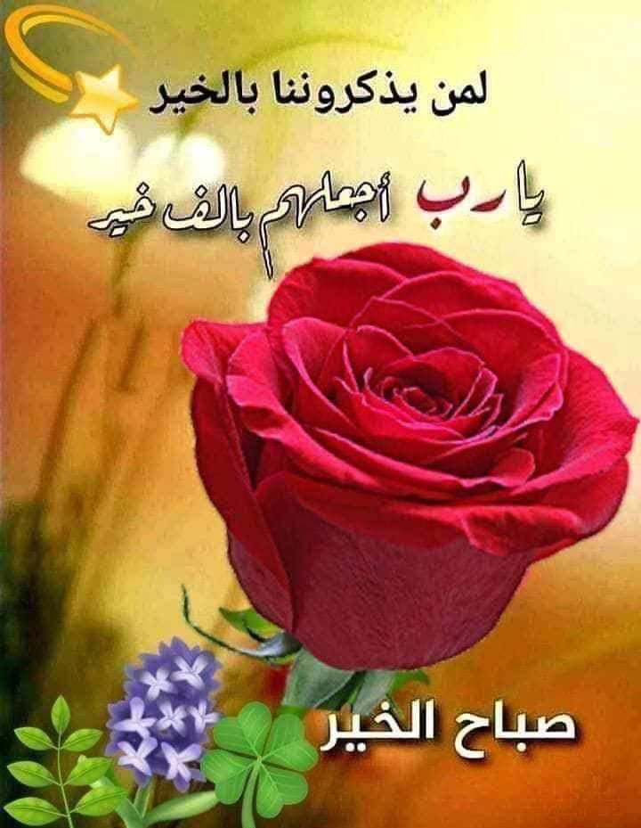 Suliman tweet media