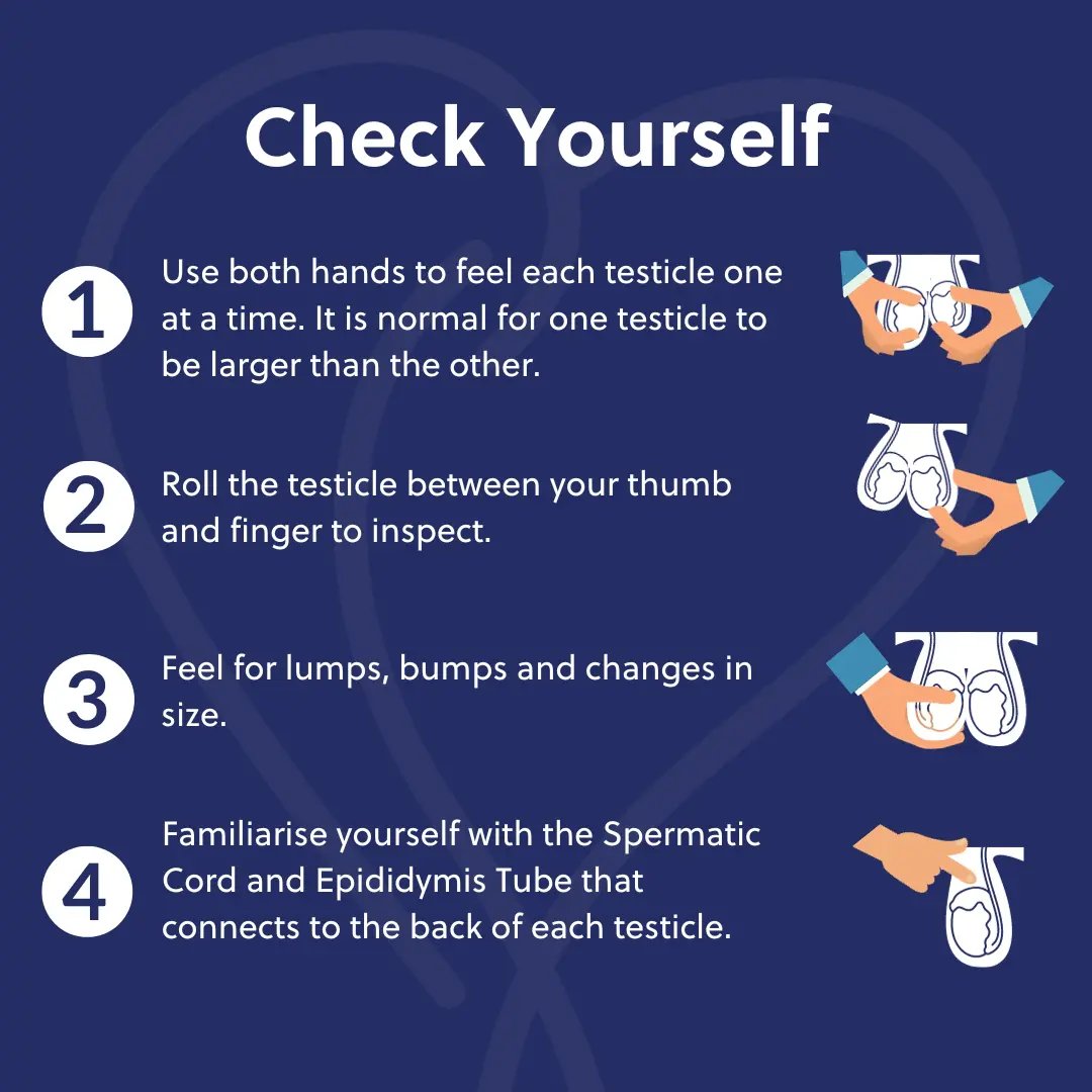 👨‍⚕️ Gentlemen, it's time for an important reminder: prioritize your health! 

Regular self-checks for testicular cancer can make a significant difference. 

Take a moment today to ensure your well-being. Your health matters! 🩹💙 #TesticularHealth #SelfCheck

$BAWLS $coq $Kimbo
