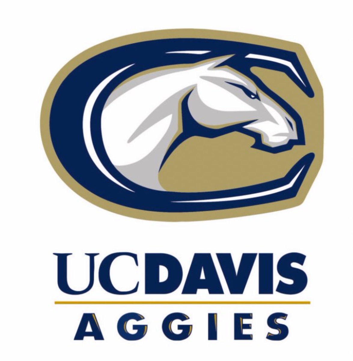 Blessed to say I have received a D1 scholarship from UC Davis, all glory to god #AggiePride @ColinLockett15 @Passing_Academy @coach_angel3