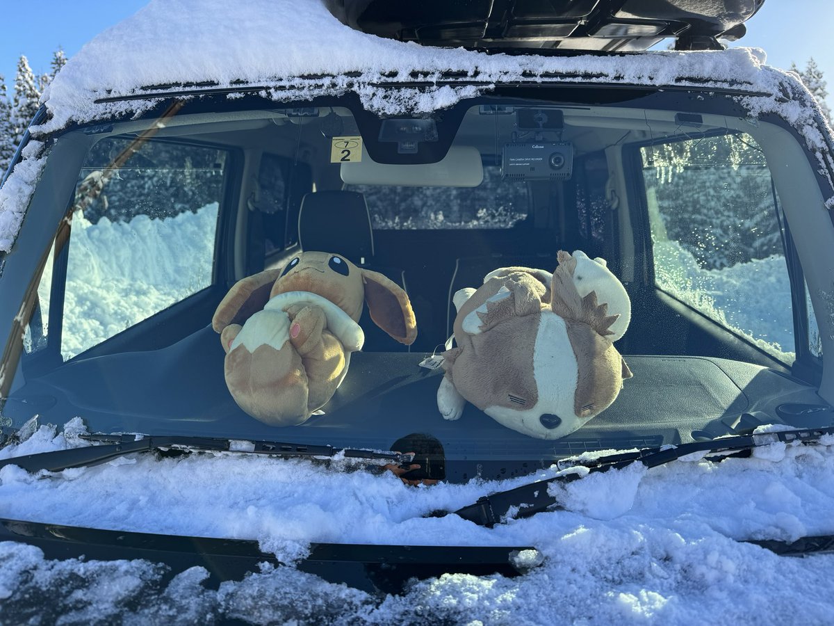 成田童夢 DOME NARITA tweet media