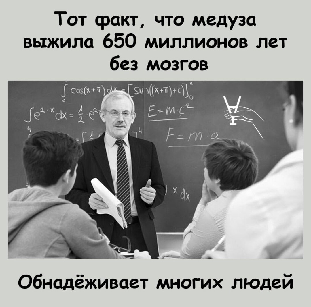 Я.А. (@yacekpyos) on Twitter photo 