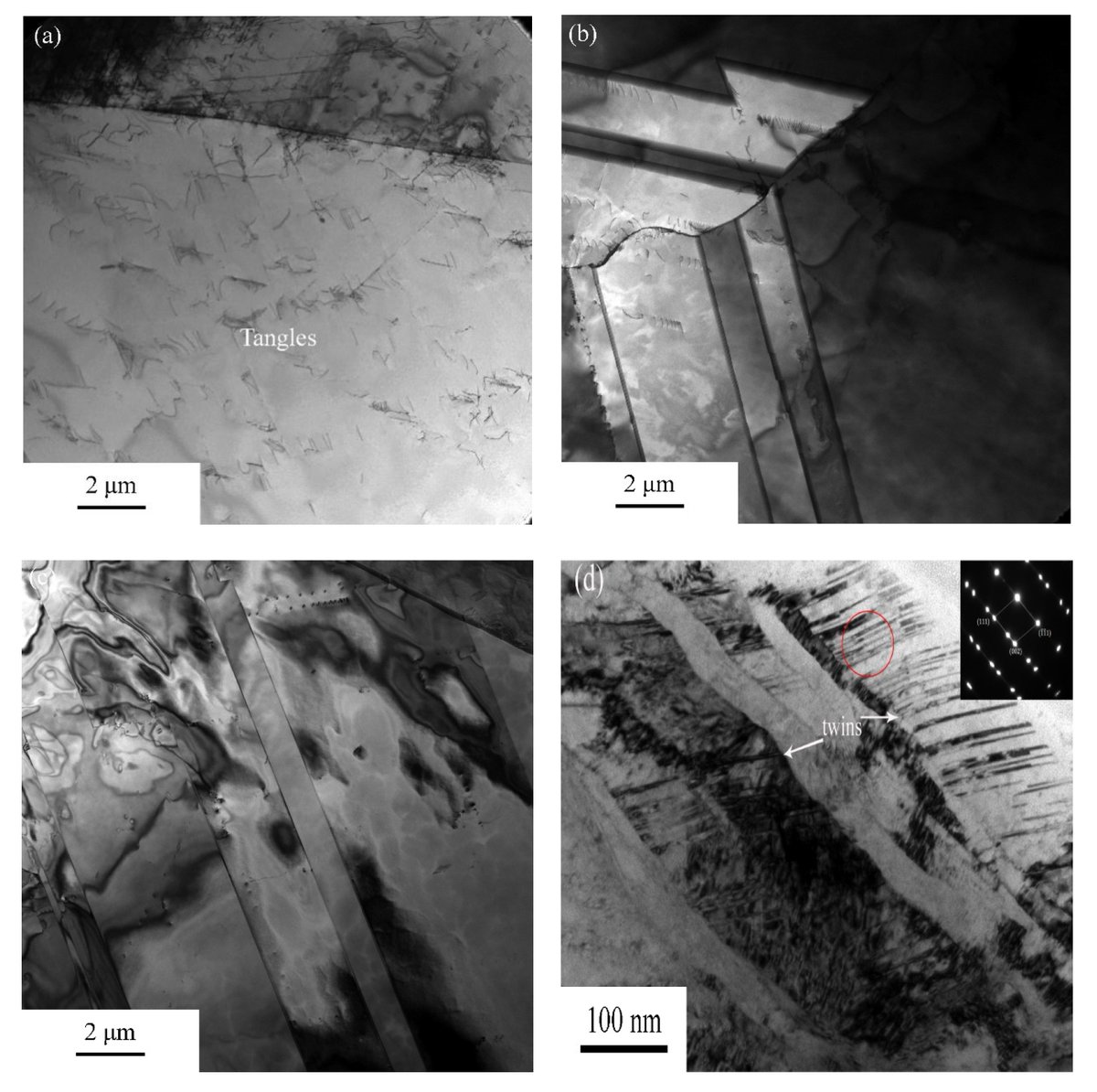 Metals_MDPI's tweet image. #mdpimetals 

💥Feature paper sharing:

📔 Title: The Research on #Recrystallization Behaviors and Mechanism of a Medium-Density #Ni-Based Alloy

📌The full-text paper: mdpi.com/2075-4701/12/1…

#annealing #twins #texture

@USTB1952  @ChemMatSci_MDPI