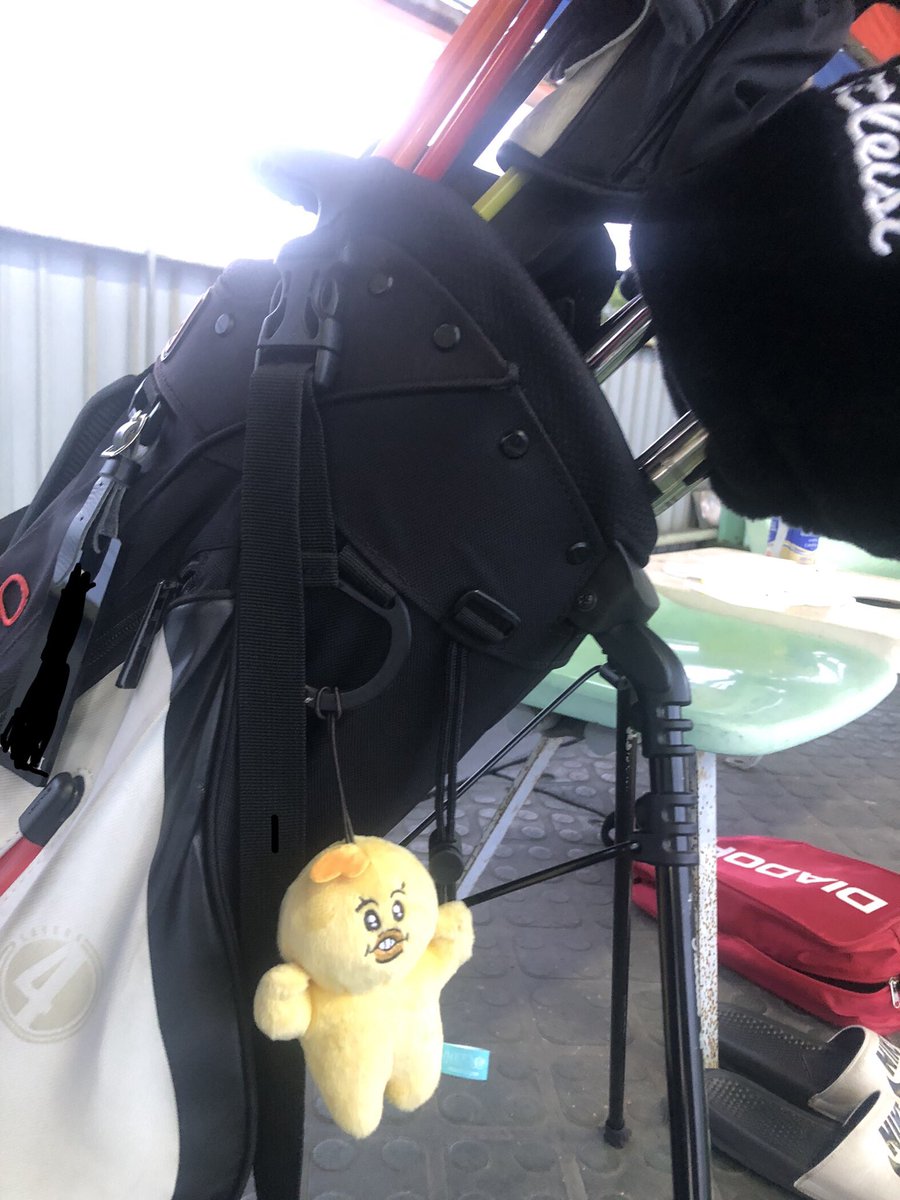 ymgcfmy's tweet photo. 今週日曜日、神戸プルーポートさんでライブします！
17時オープンの17時半出番です！
よろしくお願いします！ https://t.co/v9WMbcRmWQ
