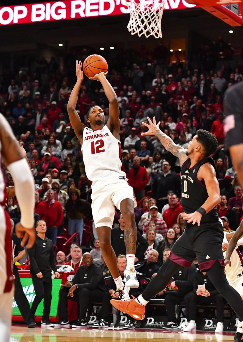 Hog Pics That Go Hard (@hogpix) on Twitter photo 