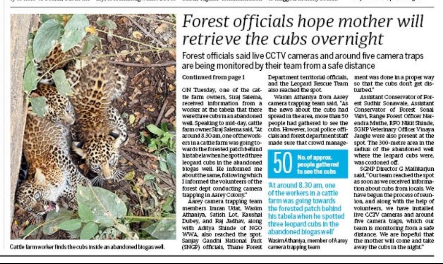 Ranjeet Shamal Bajirao Jadhav (@ranjeetnature) on Twitter photo Forest Department Initiates Reunion Efforts for Leopard Cubs found in Aarey Milk Colony.
mid-day.com/mumbai/mumbai-…
<a href="/LotSatish/">Satis l</a> <a href="/athaniya_vasim/">Wasim athaniya</a> <a href="/kedargore/">Kedar Gore</a> Forest Department Initiates Reunion Efforts for Leopard Cubs found in Aarey Milk Colony.
mid-day.com/mumbai/mumbai-…
<a href="/LotSatish/">Satis l</a> <a href="/athaniya_vasim/">Wasim athaniya</a> <a href="/kedargore/">Kedar Gore</a>