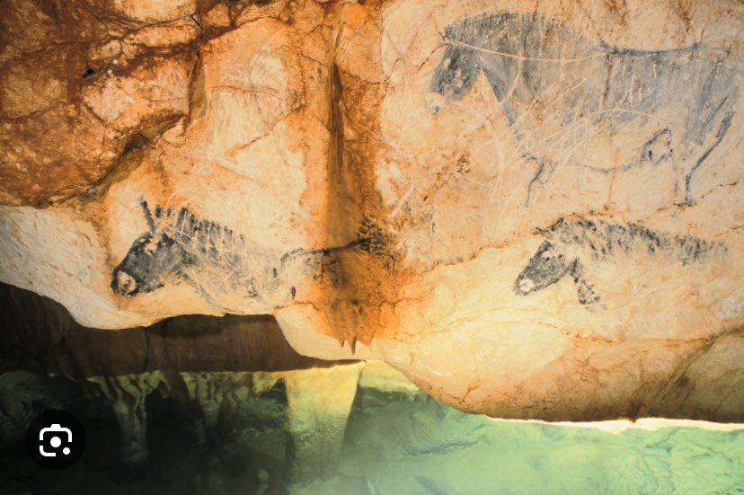 Lovely time in Marseille with @ICrevecoeur @Kristiancar1 @FrancoisMarchal and Amélie Beaudet for the doctoral defense of Dr Quentin Cosnefroy on the morpho-structural properties of the femur and the pelvis. Thank you @FrancoisMarchal for the visit to Cosquer cave and the city.