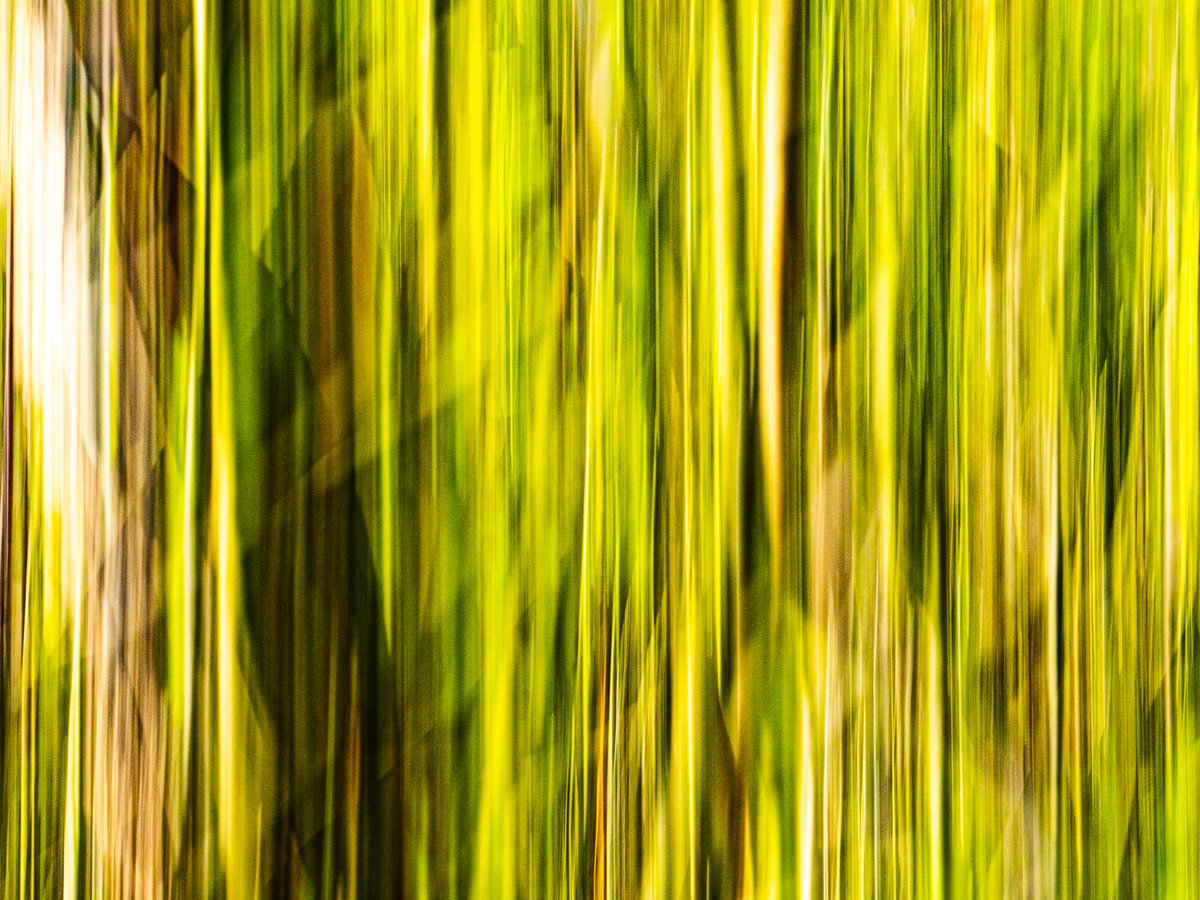 Bachblatt tweet media