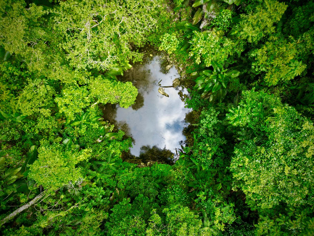 Secret grotto - Raja Ampat Archipelago - West Papua